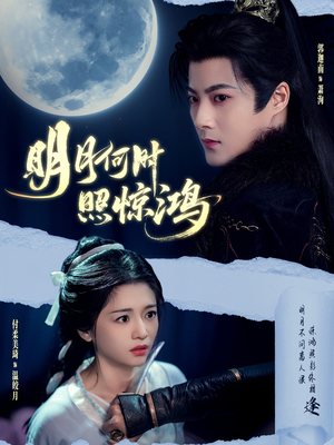明月何时照惊鸿(80集) 明月何时照惊鸿(80集)观看软件