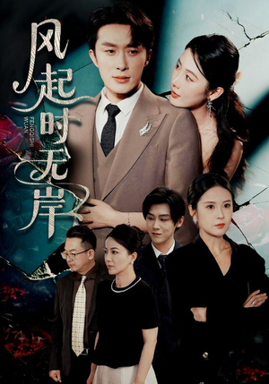 风起时无岸（58集）好看的短剧