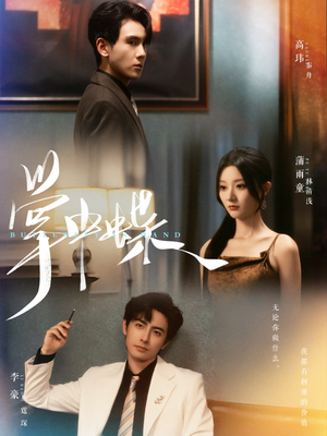 掌中蝶（84集）短剧小说在线看