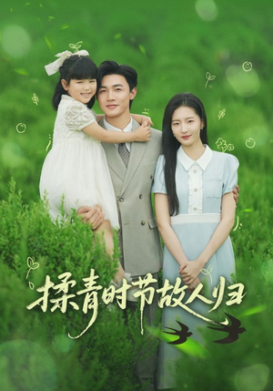 揉青时节故人归(60集) 揉青时节故人归(60集)短剧太精彩