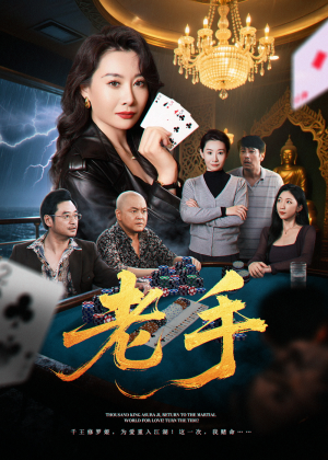 老手（36集）在哪里可以看