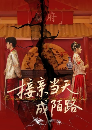接亲当天成陌路（50集）短剧太好看了吧