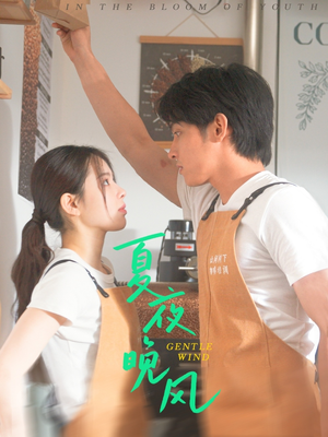 夏夜晚风（12集）迅雷网盘观看