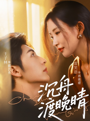 沉舟渡晚晴（80集）全集