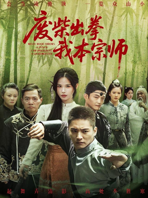 废柴出拳我本宗师（61集）大结局