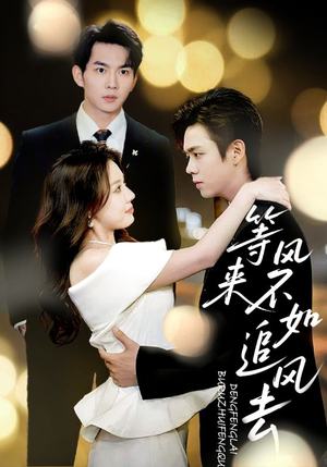 等风来不如追风去(72集) 等风来不如追风去(72集)观看软件