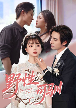 野性可驯(63集) 野性可驯(63集)精彩连连免费看