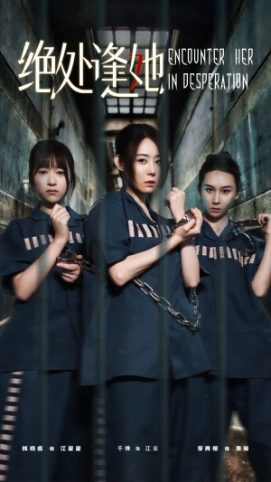 绝处逢她(47集) 绝处逢她(47集)一共多少集