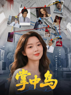 掌中鸟（42集）80到100集