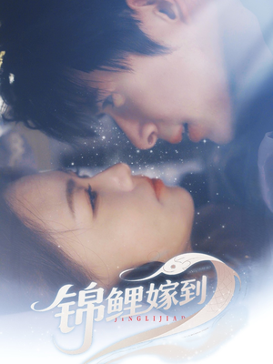 锦鲤嫁到（67集）短剧热播抢先看