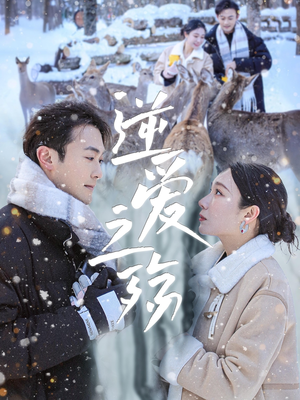 逆爱之殇（60集）完整版免费观看