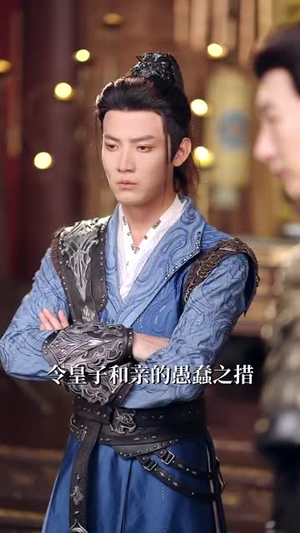 皇子和亲玄武门再见（65集）全集