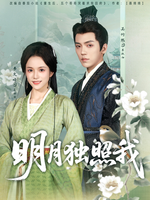明月独照我（80集）百万短剧抢先看