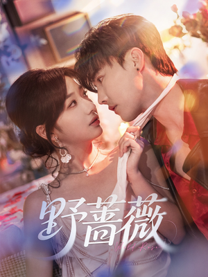 野蔷薇（60集）短剧更新抢先看