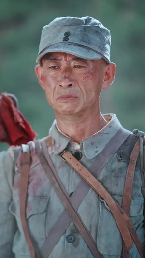 山河回响（80集）免费看全网短剧