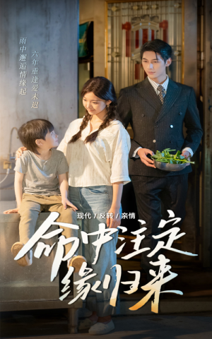 命中注定缘归来（63集）短剧每日分享