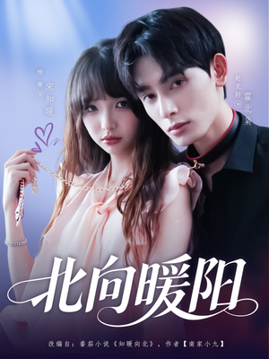 北向暖阳(80集) 北向暖阳(80集)高分推荐免费看