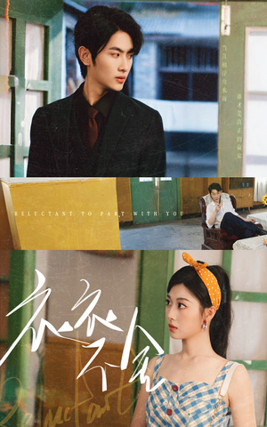 衣衣不舍（63集）短剧在线观看