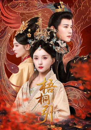 梧桐引（70集）短剧太好看了吧