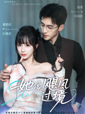 她像飓风过境（81集）直接追到结尾
