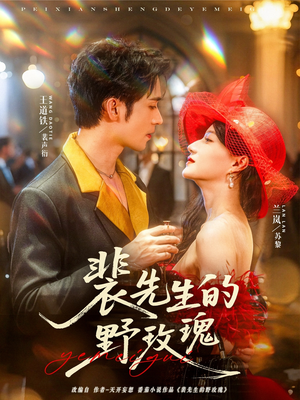 裴先生的野玫瑰（72集）在线看到大结局