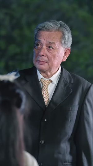 带娃大叔偷走叶小姐的心 (41集) 高清画质免费看