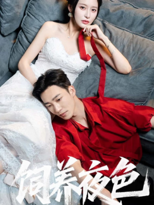 饲养夜色(86集) 饲养夜色(86集)热播短剧重燃