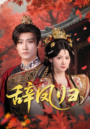 辞凤归（70集）一共多少集