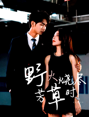 野火烧尽芳草时（65集）热门短剧推广