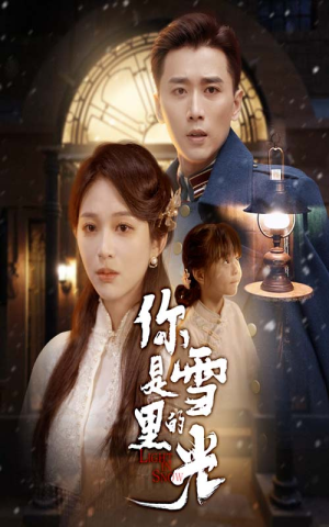 你是雪里的光（64集）热播短剧追不停