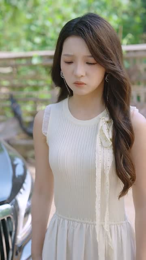 乡村小圣医 (80集)一口气看完