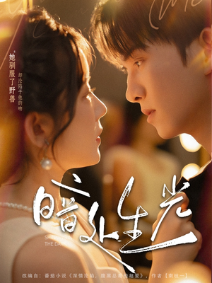 暗处生光（82集）热门短剧分享