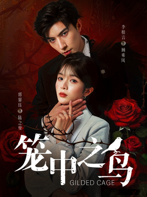 笼中之鸟（70集）经典老剧免费看