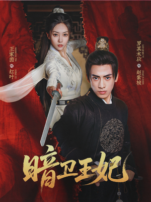 暗卫王妃（60集）在哪里可以全集