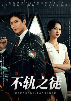 不轨之徒（72集）热门短剧推广