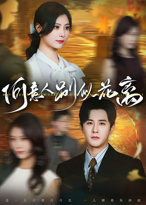 何意人别似花离（61集）越看越好看短剧