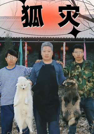 狐灾（25集）免费看全集