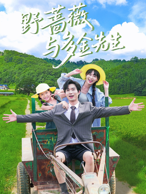 野蔷薇与多金先生（63集）精彩短剧看全集