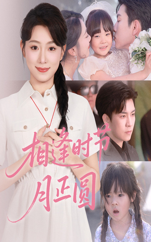 相逢时节月正圆（54集）精彩短剧推荐