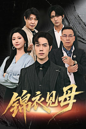 锦衣见母（60集）免费看全集