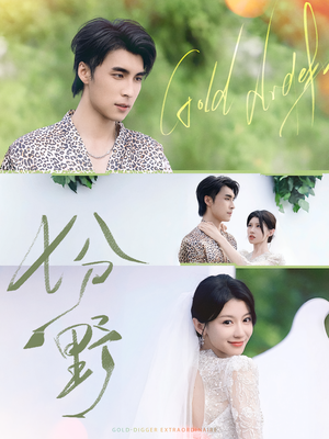 七分野（78集）短剧片段推荐