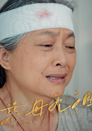 慈母无泪(30集) 慈母无泪(30集)分享好看短剧