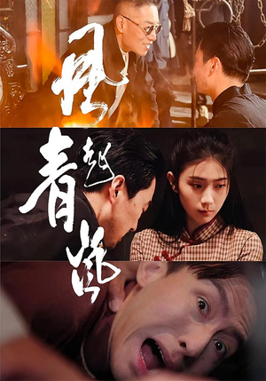 风起青岚（96集）全网独播免费看