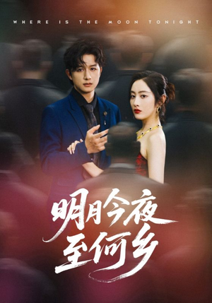 明月今夜至何乡（70集）高质量短剧推荐