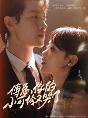 傅总你的小可怜又哭了（80集）短剧解说全集