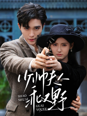 少帅夫人乖又野（84集）短剧介绍