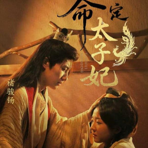 命定太子妃(63集) 命定太子妃(63集)精彩短剧后续