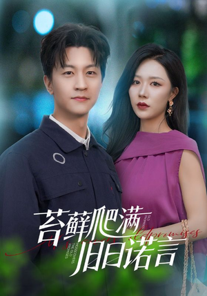 情途难负(83集) 情途难负(83集)在线观看全集