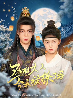 丞相大人今天被撩了吗（80集）短剧前十排行榜