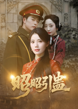 昭昭引蛊（42集）精彩好看短剧